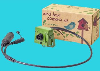 How to reset the password of Wired HD IP Bird Box Camera